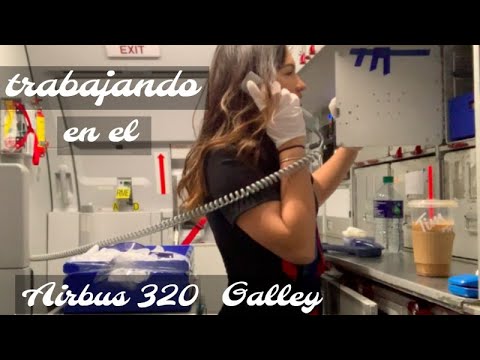 ¿Cuántas horas trabajan las azafatas de tierra? 5