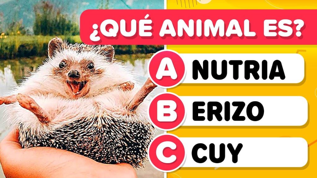 ¿Cuál es el animal más honesto? 12