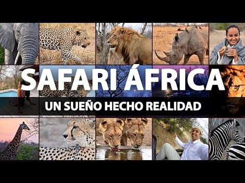 ¿Cuál es el mejor país para ir de safari? 1