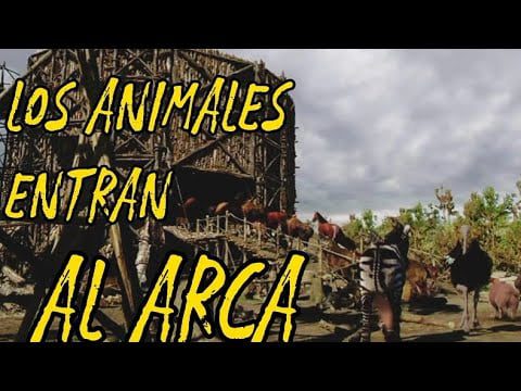 ¿Cuál fue el primer animal que entro en el arca? 1