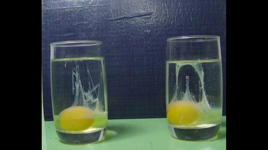 ¿Qué pasa si el huevo se hunde en el agua? 7