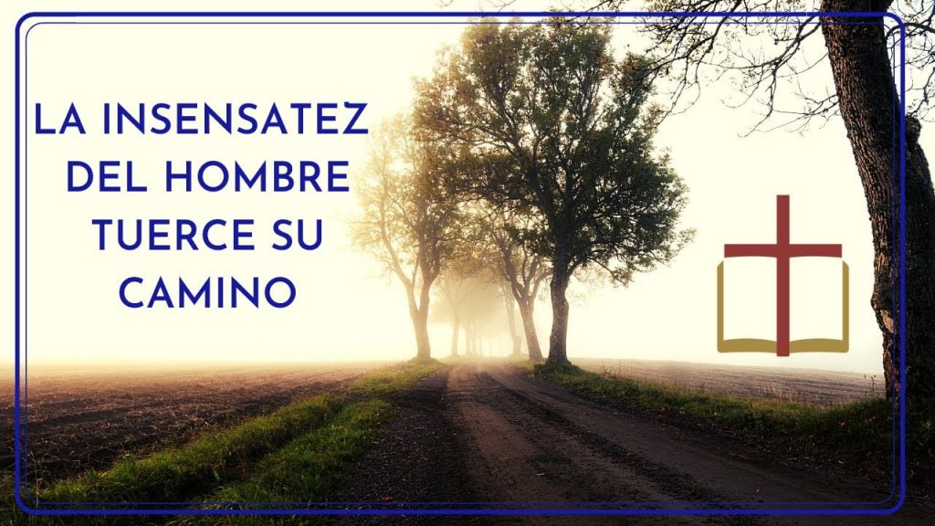 ¿Qué significa Dromedaria ligera que tuerce su camino? 11