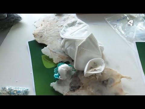 ¿Cómo se reciclan las mascarillas quirúrgicas? 4