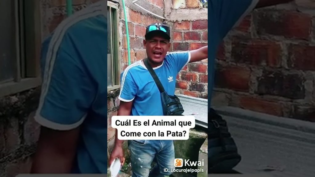 ¿Cuál es el animal que come más? 6