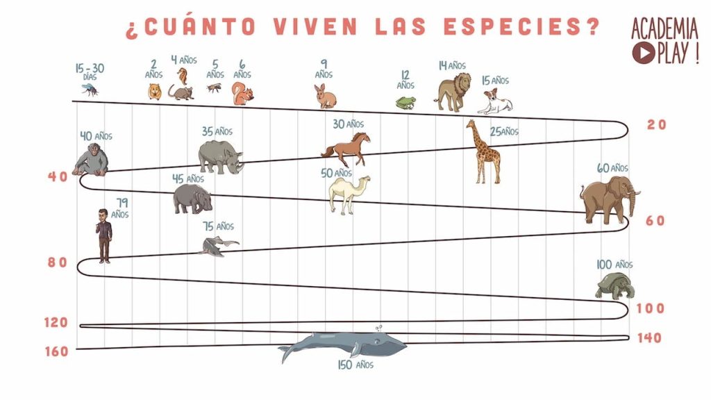 ¿Qué animal vive más de 200 años? 11