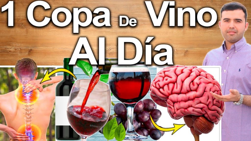 ¿Por qué es bueno tomar una copa de vino en la noche? 2