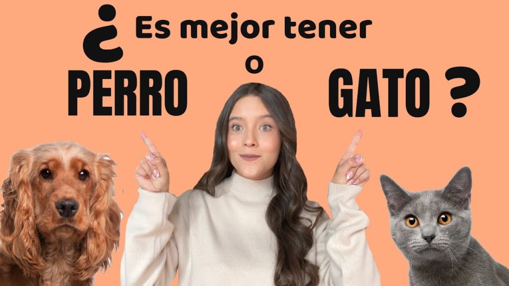 ¿Quién es más rápido el perro o el gato? 8