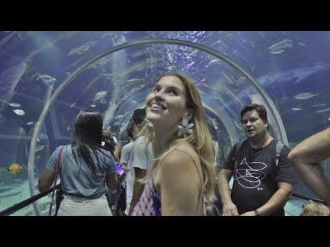 ¿Cuál es el mejor acuario de Latinoamérica? 1