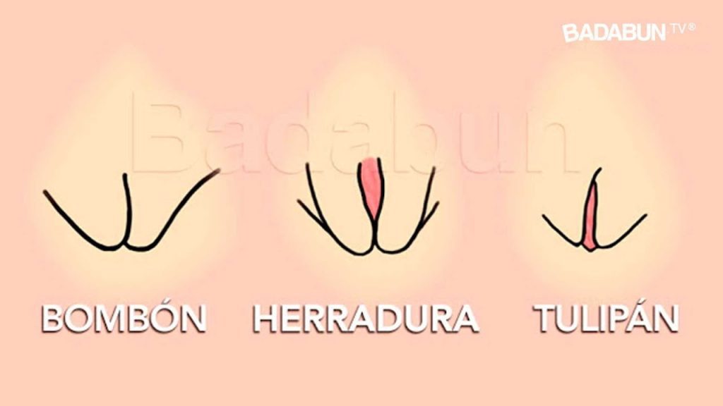 Los 7 tipos de vaginas: descubre sus formas, tamaños y características 1