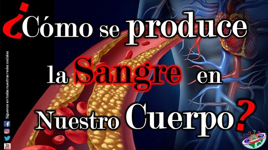 ¿Cuántos litros de sangre tiene el cuerpo de un caballo? 4