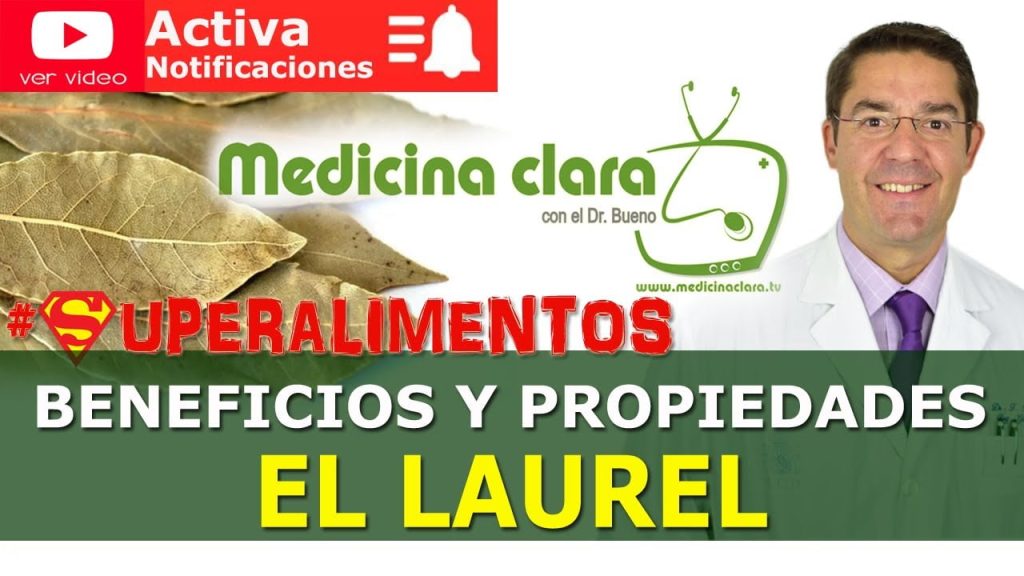 ¿Qué es lo que cura el laurel? 3