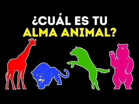 ¿Cuál es el animal que no puede ver? 2