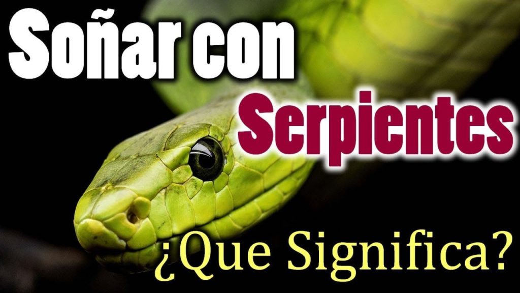 ¿Qué significa soñar con una serpiente? 6