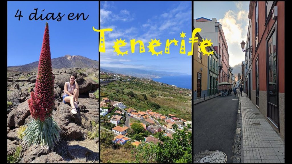 ¿Cómo ir del norte de Tenerife al sur? 1