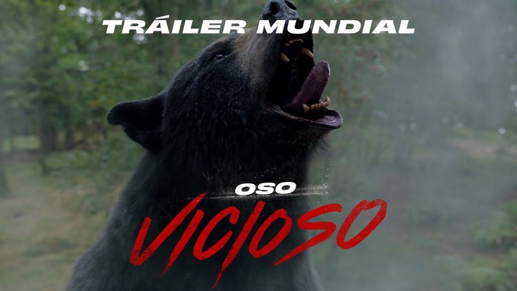 ¿Cuándo sale el oso? 5