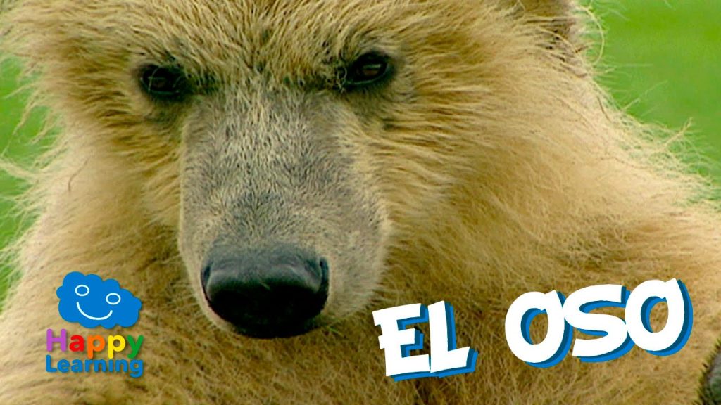 ¿Qué hace el oso? 2