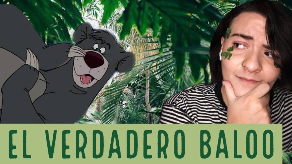 ¿Qué tipo de oso es Baloo? 7