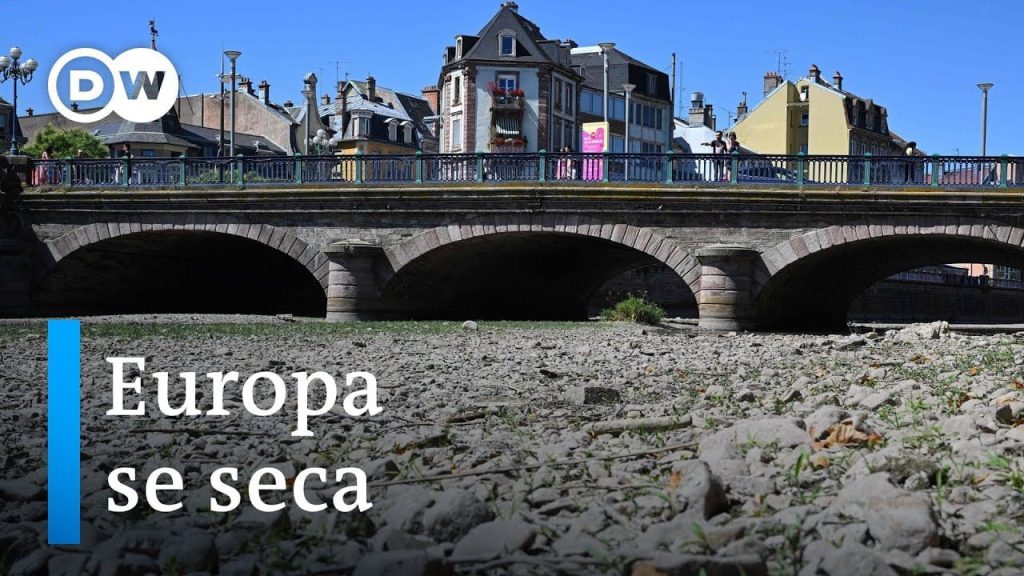 ¿Qué ha pasado con el río Rhin de Europa? 1