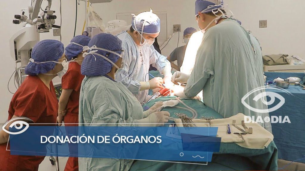 ¿Que se dona y es más transplantado en Ecuador? 1