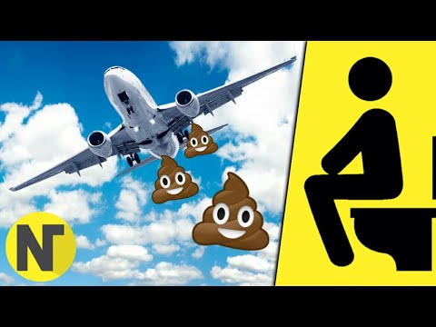 ¿Qué se hace con los excrementos en los aviones? 1