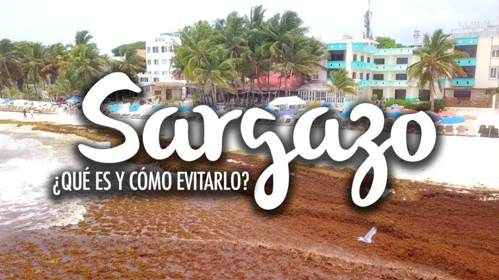 ¿Qué playa no tiene sargazo en Cancún? 1