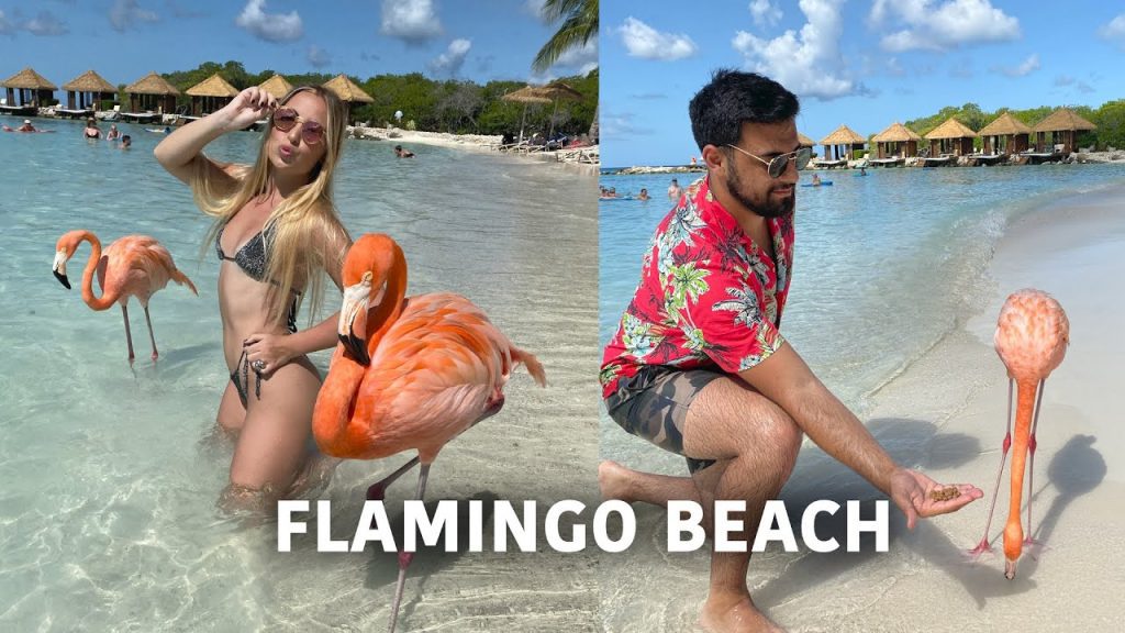 ¿Dónde queda la playa de Los Flamingos? 6