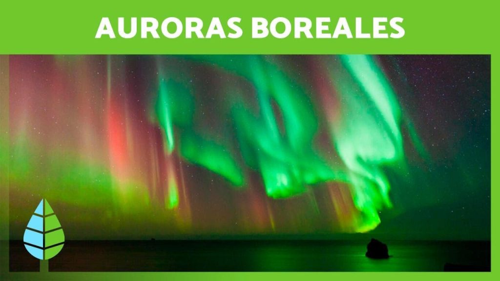 ¿Por qué se dice boreal? 1