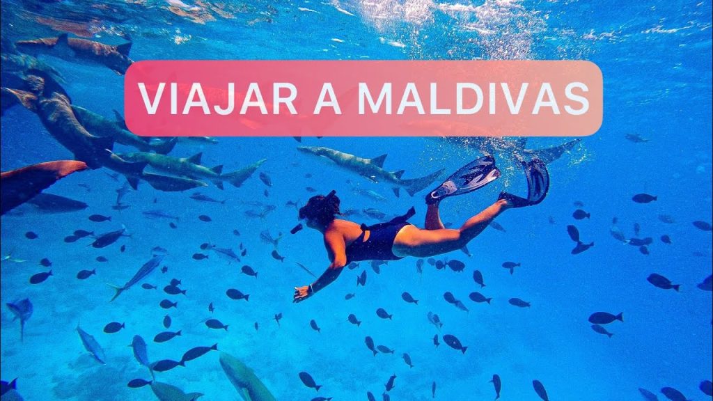 ¿Qué compañías vuelan a las Maldivas? 10