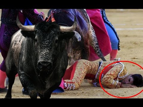 ¿Qué pasa si un toro mata a un torero? 2