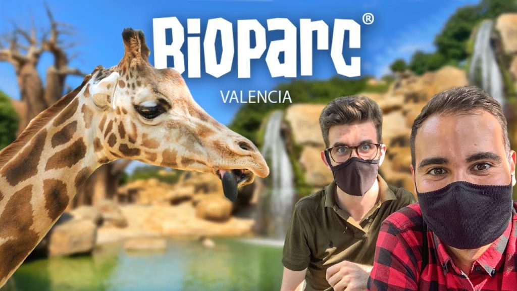 ¿Dónde ver animales con niños en Valencia? 1
